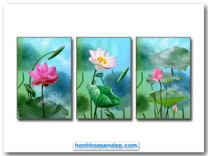 Bộ 3 bức tranh canvas hoa sen đẹp