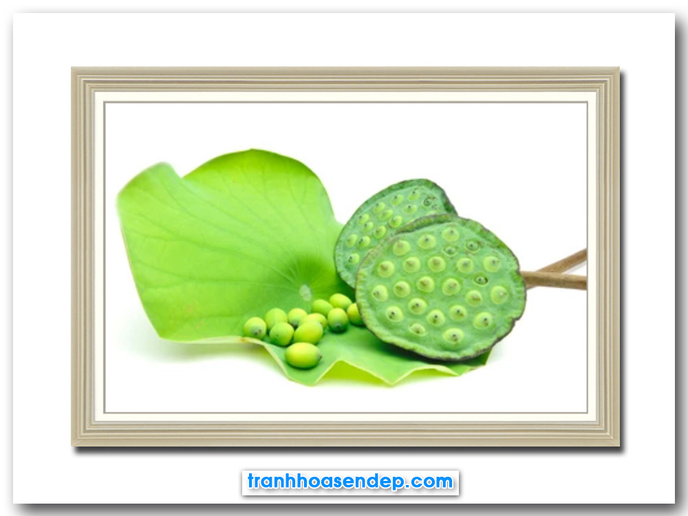 Bức tranh bát sen hat sen trên tàu lá xanh