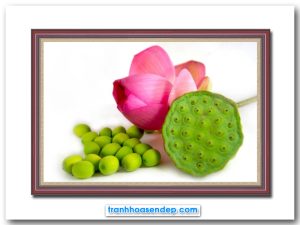 Bức tranh phòng ăn đẹp hình ảnh bát sen, hạt sen và hoa sen hồng