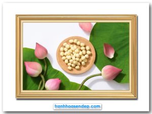 Bức tranh hoa sen bát sen hạt sen đẹp