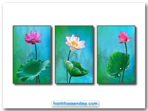 Bộ tranh canvas 3 bức đẹp hình ảnh lá và hoa sen hồng
