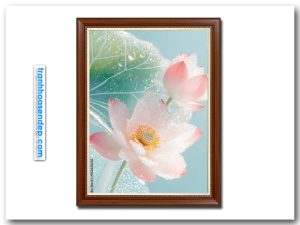 Bức tranh khổ đứng hình ảnh hoa sen hồng băng đá trong suốt