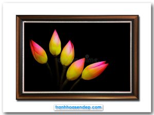 Bức tranh treo tường những búp sen vàng phớt hồng trên nền đen