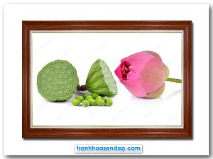 Tranh treo tường đẹp hình ảnh hoa sen, bát sen và hạt