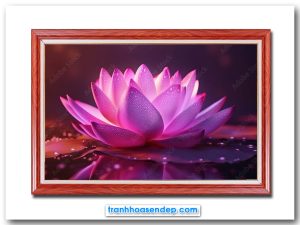 Bức tranh bông hoa sen hồng to phát sáng đẹp