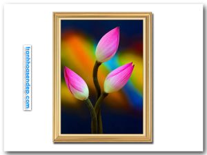 Bức tranh khổ đứng hình ảnh những búp hoa sen hồng đẹp