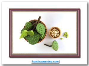 Mẫu tranh treo tường đẹp hình ảnh bát sen và hạt sen