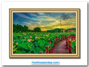 Mẫu tranh phong cảnh đầm sen đẹp và cây cầu gỗ vắt qua