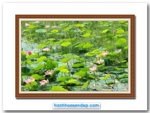 Bức tranh phong cảnh đầm sen đẹp đậm chất thiên nhiên