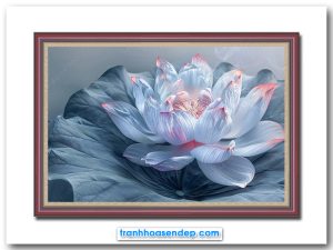 Mẫu tranh hoa sen màu ghi nhạt đẹp