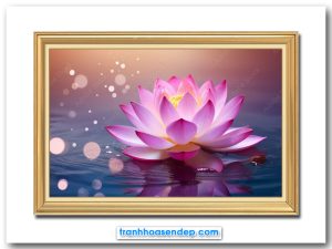 Mẫu tranh bông hoa sen hồng đẹp lung linh