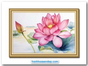Mẫu tranh hoa sen hồng đẹp vẽ phác họa kiểu màu nước