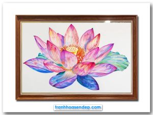 Mẫu tranh bông hoa sen hồng đẹp vẽ kiểu màu nước