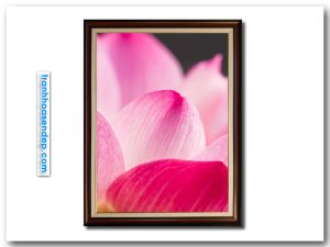 Mẫu tranh khổ dọc đẹp hình ảnh những cánh hoa sen hồng