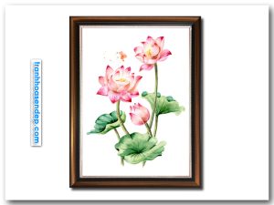 Tranh hoa sen đẹp vẽ phác họa kiểu màu nước