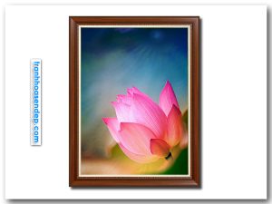 Mẫu tranh khổ dọc hình ảnh bông hoa sen hồng trong ánh sáng quang mờ ảo