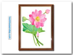 Mẫu tranh treo tường khổ dọc hình ảnh hoa sen hồng vẽ màu nước