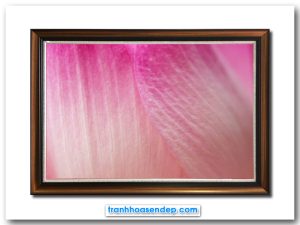 Mẫu tranh treo tường đẹp với cả khung hình là một màu hồng của những cánh hoa sen chụp cận cảnh