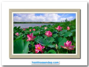 Mẫu tranh treo tường đẹp hình ảnh đầm hoa sen hồng và phong cảnh sông nước quê hương thanh bình