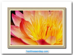 Mẫu tranh treo tường đẹp phác họa hình ảnh bông hoa súng màu vàng hồng rực rỡ