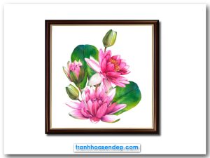 Mẫu tranh khổ vuông đẹp vẽ hình ảnh khóm hoa súng với những bông hoa nở sắc hồng, búp nụ và lá xanh